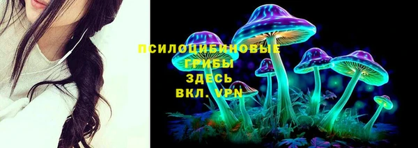 MESCALINE Баксан